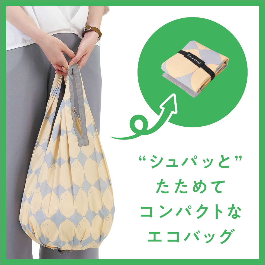 エコバックシュパット