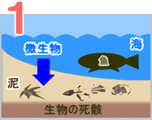 天然ガスができるまで1