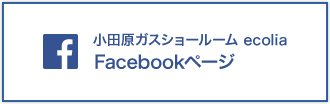 Facebookページ